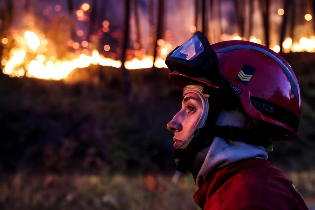 Incêndio florestal em Monchique sob controlo após intervenção das autoridades