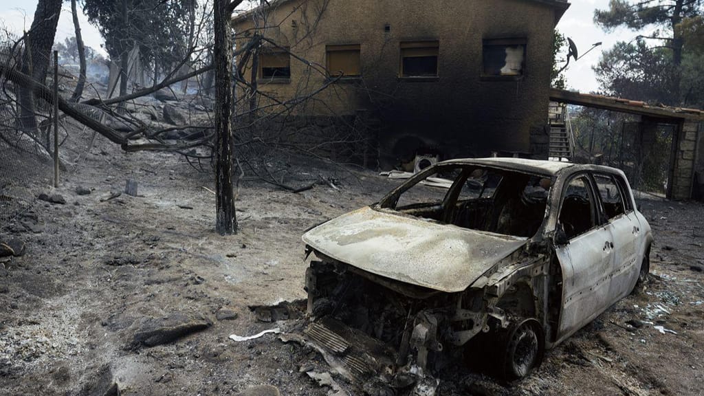 Incêndios Florestais Persistem em Espanha Após Dia Desafiador, Com Autoridades a Mobilizar Todos os Meios