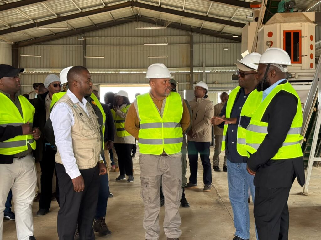 Nova unidade industrial de rações avícolas prepara-se para iniciar operações